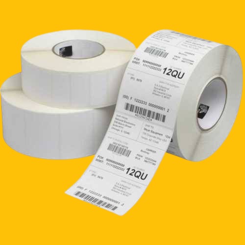 WhatsApp Image 2025-07-28 at 1.49.03 PM (1).jpeg